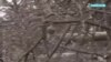 "Победных настроений нет". Военный аналитик – о том, что происходит с российской армией на кураховском направлении 